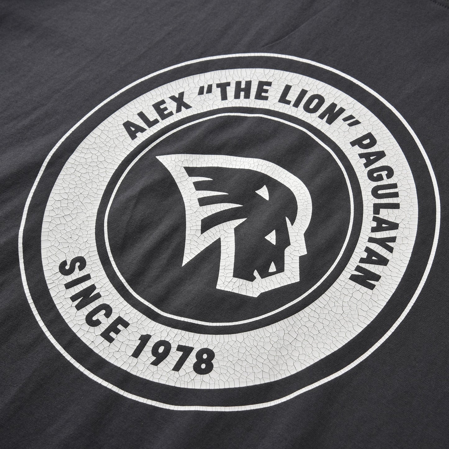 TRIBUTE TO ALEX 'THE LION' BOXY T - SHIRT - Pagulayan